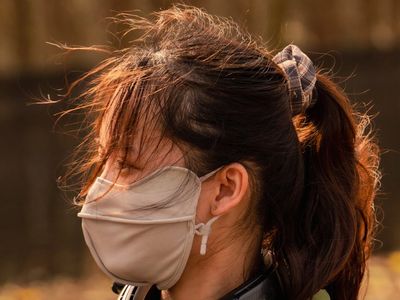 View of green trees used for distant focus exercises